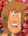 shaggy.jpg